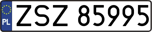 ZSZ85995