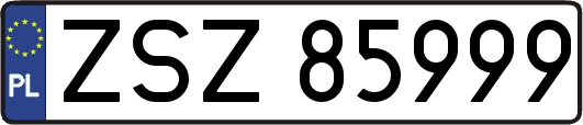 ZSZ85999