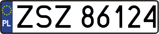 ZSZ86124