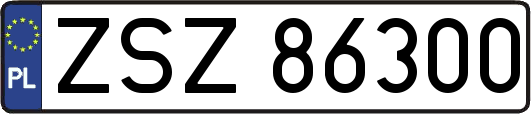 ZSZ86300