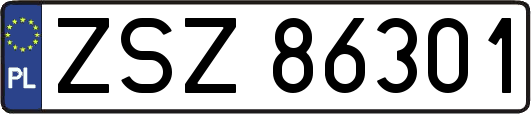 ZSZ86301