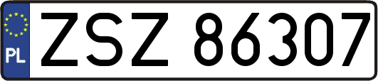 ZSZ86307