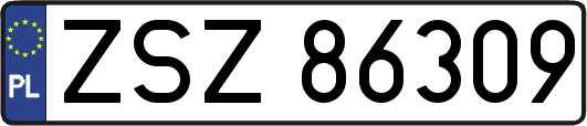 ZSZ86309