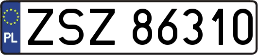 ZSZ86310