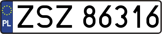 ZSZ86316