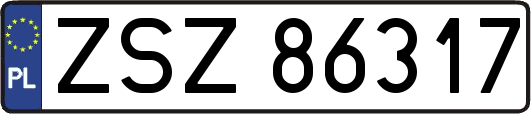 ZSZ86317