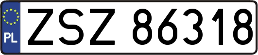 ZSZ86318