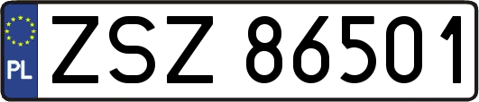 ZSZ86501