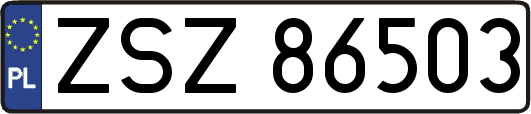 ZSZ86503