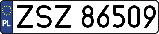 ZSZ86509