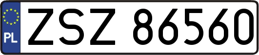 ZSZ86560