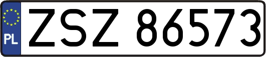ZSZ86573
