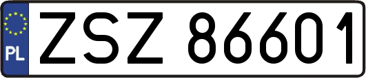 ZSZ86601