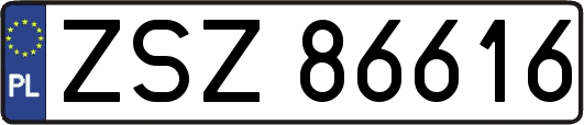 ZSZ86616