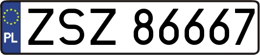 ZSZ86667