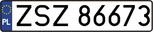 ZSZ86673