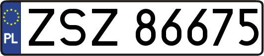 ZSZ86675