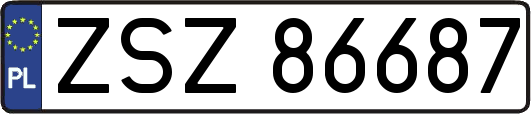 ZSZ86687