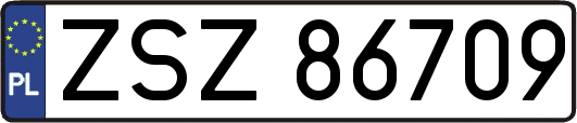 ZSZ86709