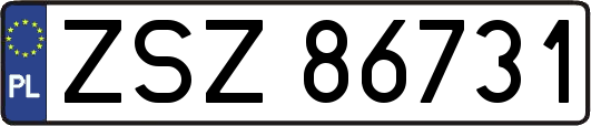 ZSZ86731