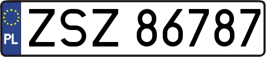ZSZ86787