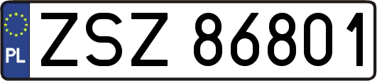 ZSZ86801