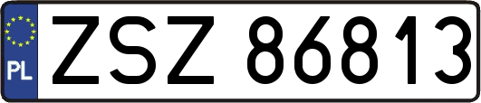 ZSZ86813