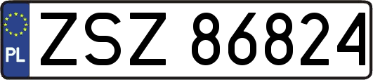ZSZ86824