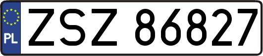 ZSZ86827