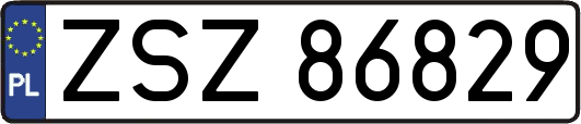 ZSZ86829