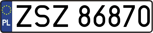 ZSZ86870