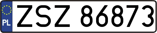 ZSZ86873