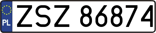 ZSZ86874