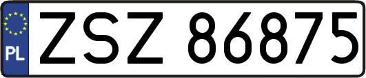 ZSZ86875