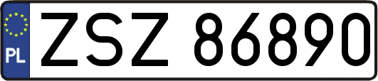 ZSZ86890
