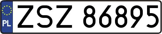 ZSZ86895
