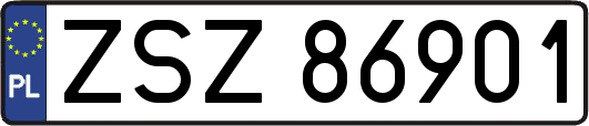 ZSZ86901