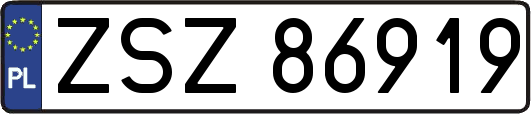ZSZ86919