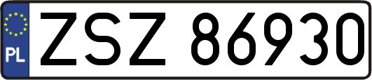 ZSZ86930