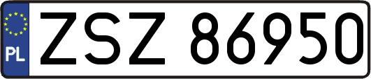 ZSZ86950
