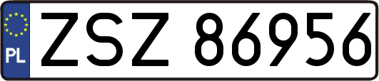 ZSZ86956