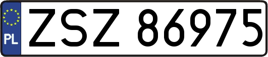 ZSZ86975