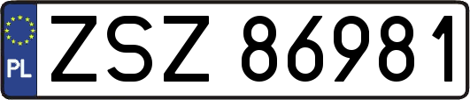 ZSZ86981