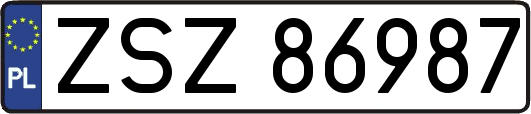 ZSZ86987