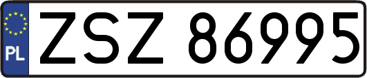 ZSZ86995