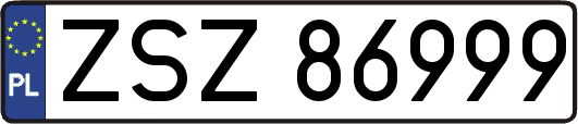 ZSZ86999