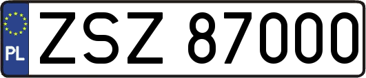 ZSZ87000