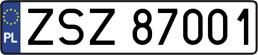 ZSZ87001