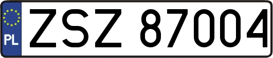 ZSZ87004