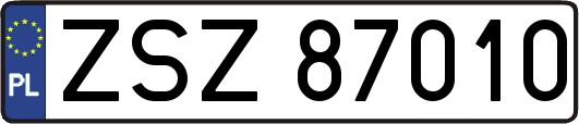 ZSZ87010